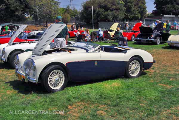 Austin Healey 100M LeMans Factory Prepared 1956